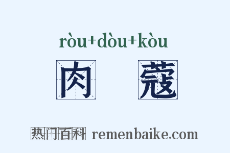 肉荳蔻是什么意思的图片